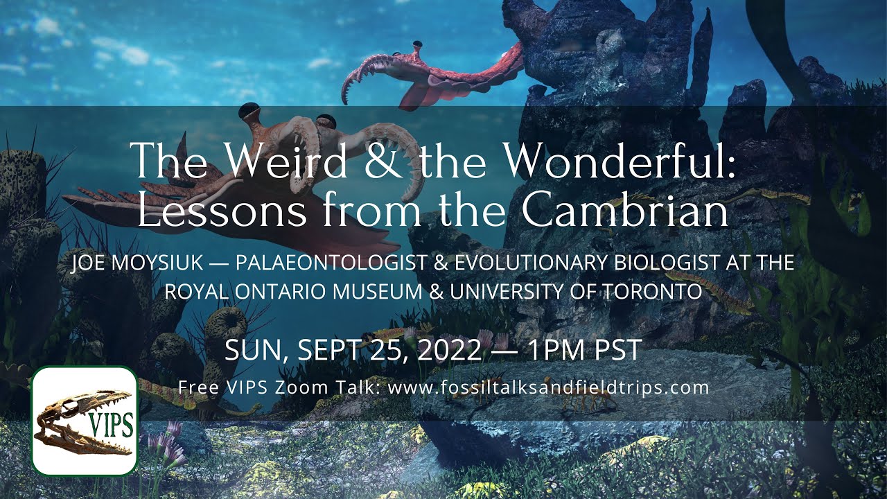 Joe Moysiuk — The Weird & the Wonderful: Lessons from the Cambrian