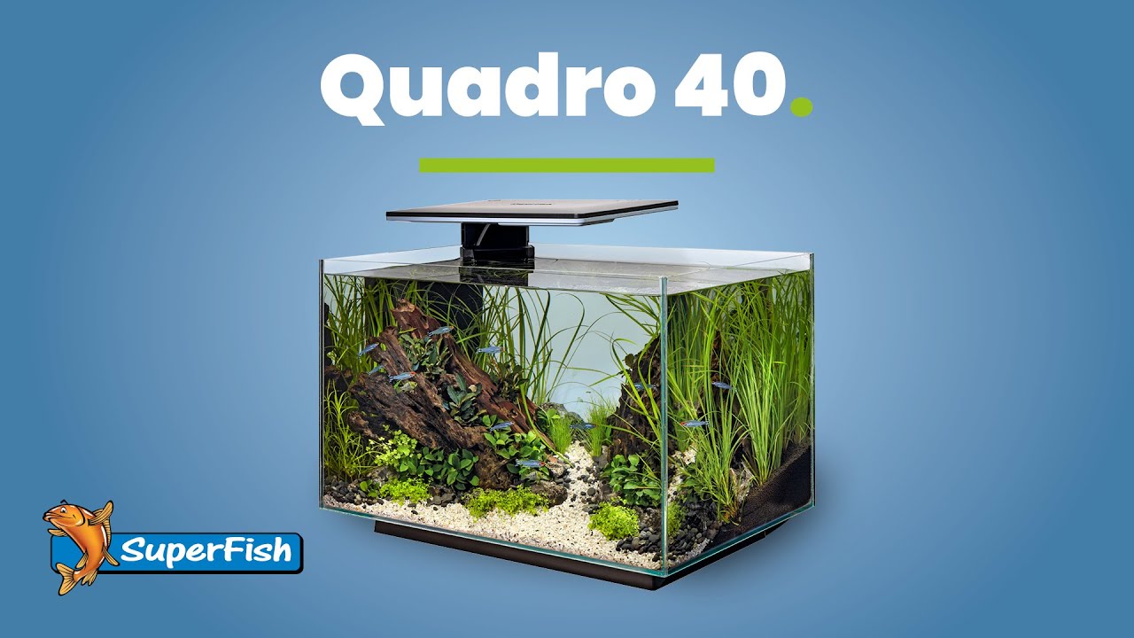 SuperFish | Quadro 40 Pro