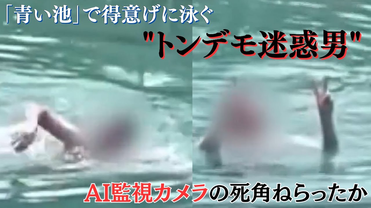 北海道の観光名所「青い池」で得意げに泳ぐ 