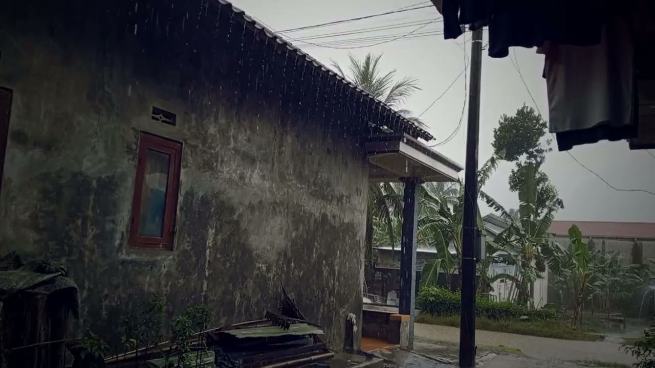 Pure Rain Sounds 3 Hours 🌧 Natural Rain