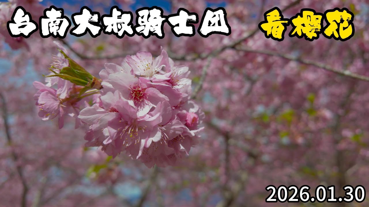 台南大叔騎士團 賞櫻趣 寶山二集團
