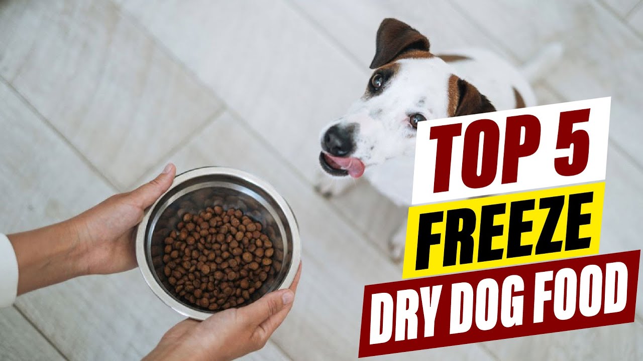 Best Freeze Dried Dog Food 2026: Healthy & Convenient!