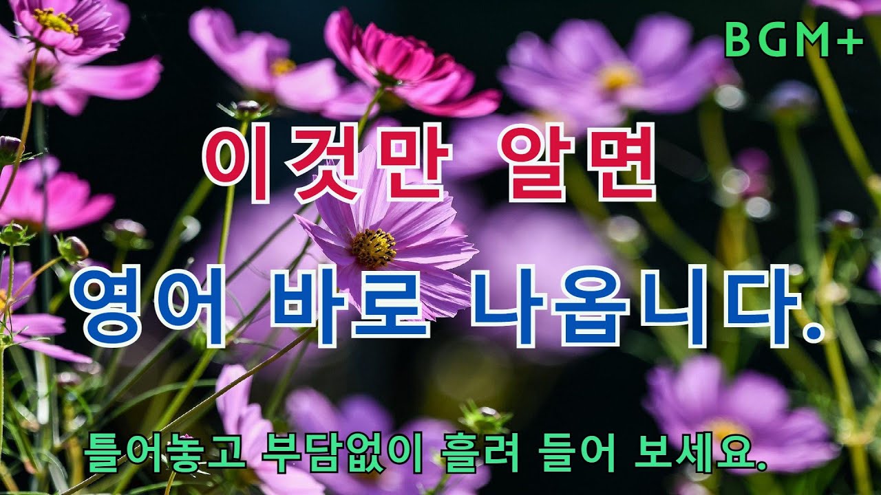 이것만 알면 영어 바로 나옵니다. | 매일 1시간 영어 흘려듣기 #36