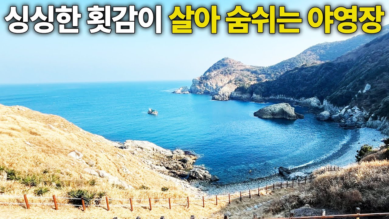 가장 싱싱한 회맛을 볼 수 있는 바닷가 야영장