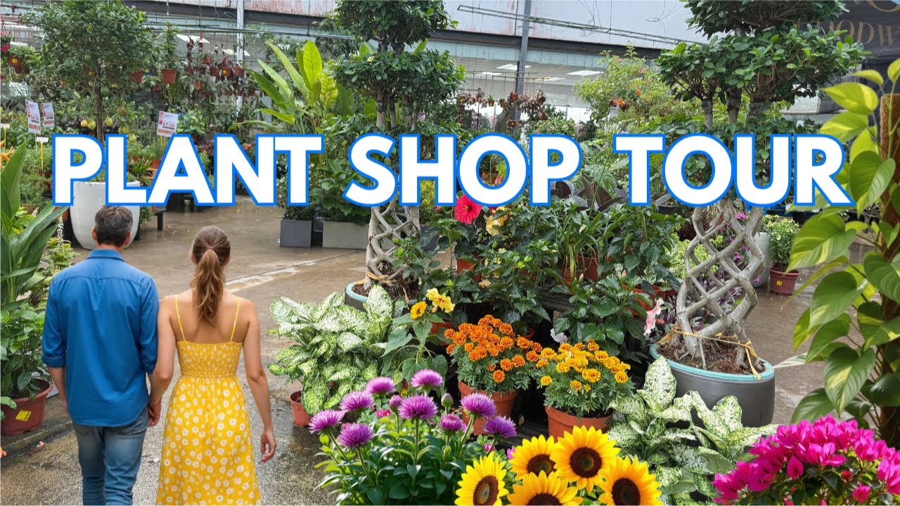 🍀 A Plant Shop Tour | Explore The Latest In Plant Shop | A Day In The Plant Paradise