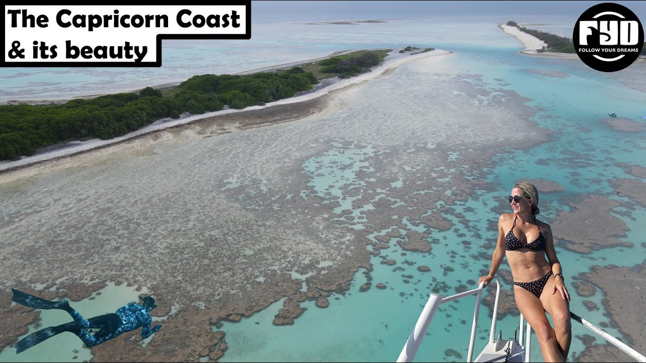 Lady Musgrave, Fitzroy reef, Great Barrier Reef! Our child free spearfishing weekend!