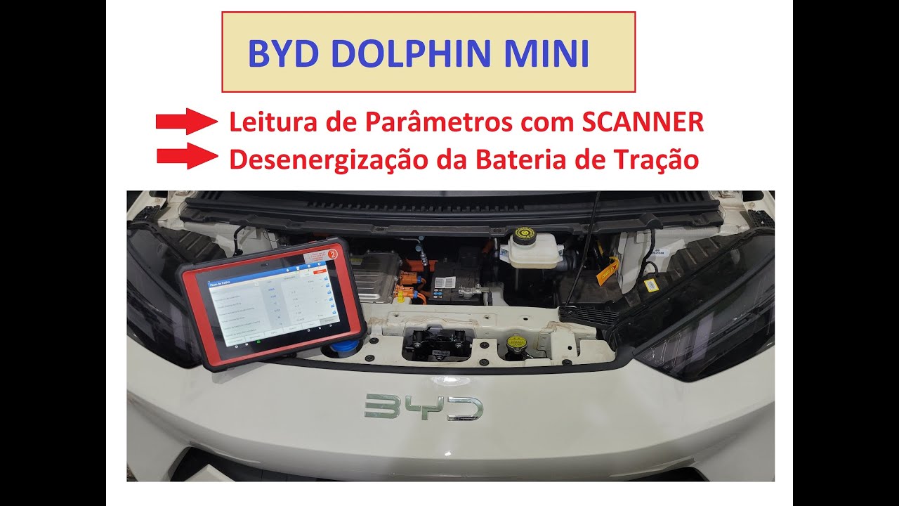 BYD Dolphin Mini: Dicas de como desligar a bateria de tração e principais parâmetros de scanner