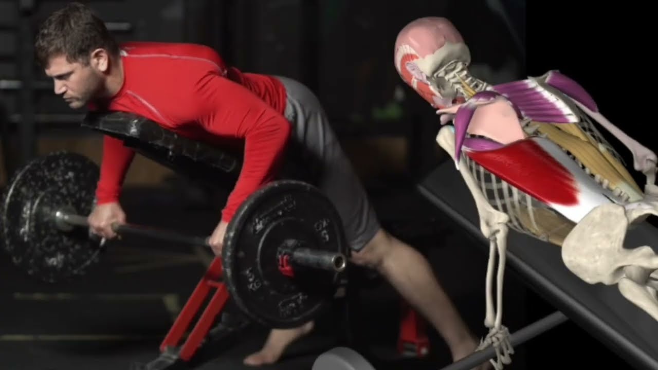 Easy way to learn gym workout 💪 in 3D