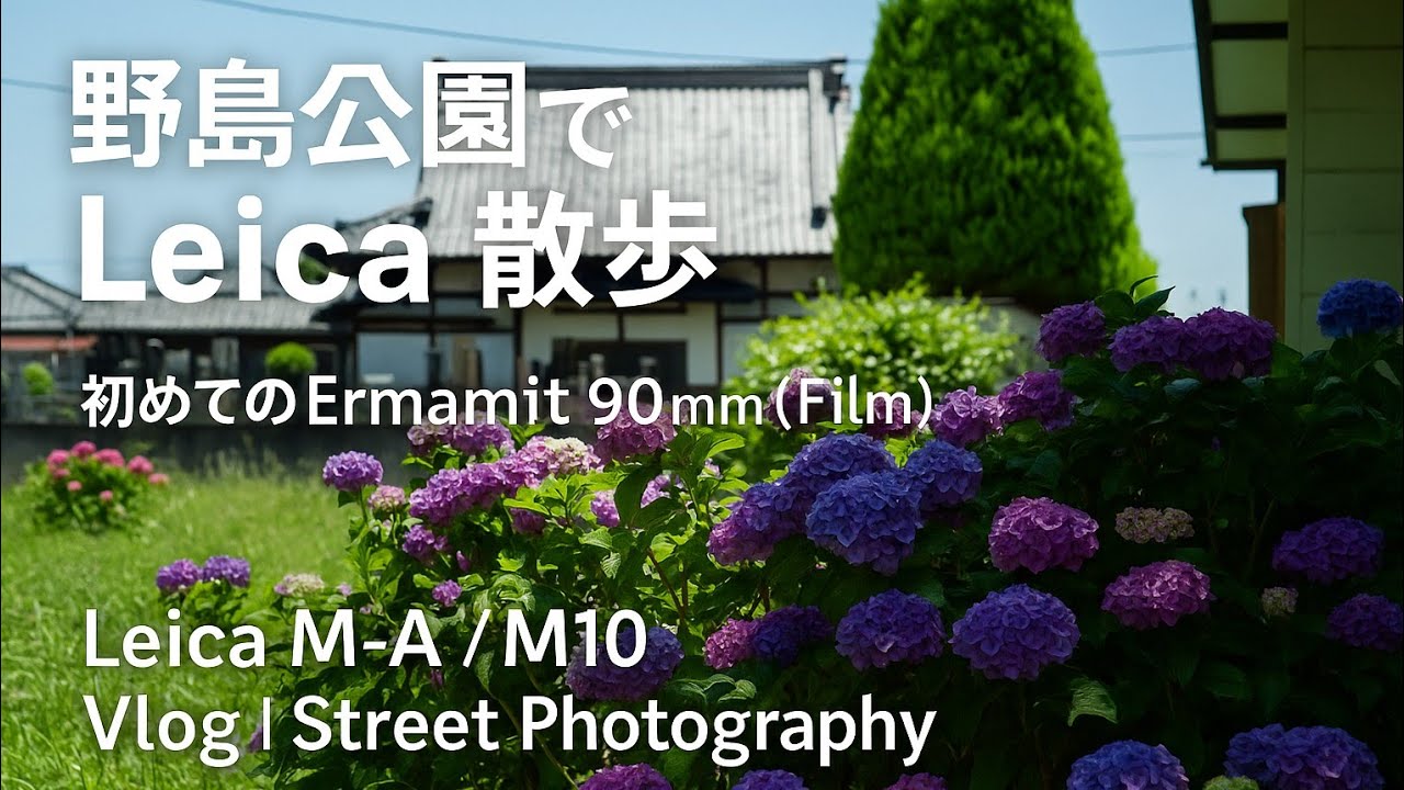 Leicaで歩く初夏の野島公園｜Ermarit 90mm 初めての試写（M-A / M10）
