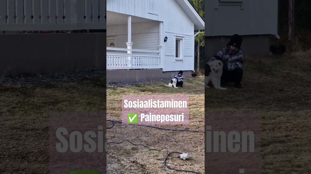 #Sosiaalistaminen