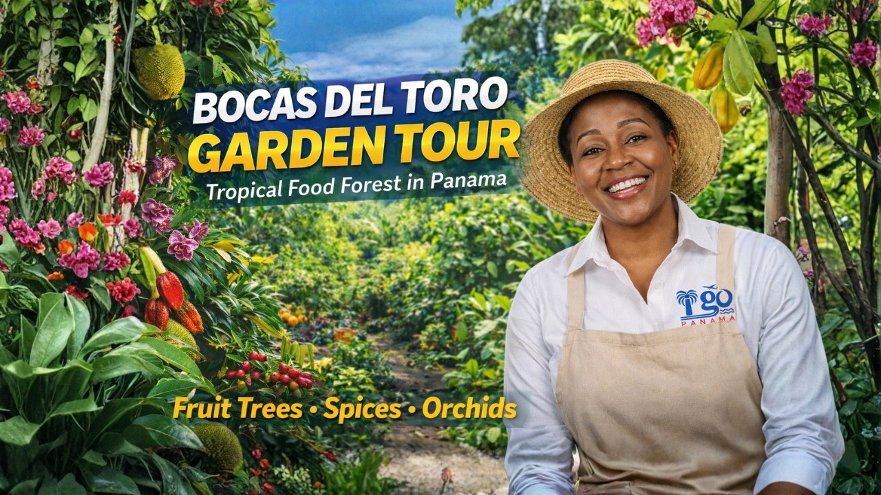 Tropical Food Forest and Ornamental Garden Tour: Bocas del Toro, Panama