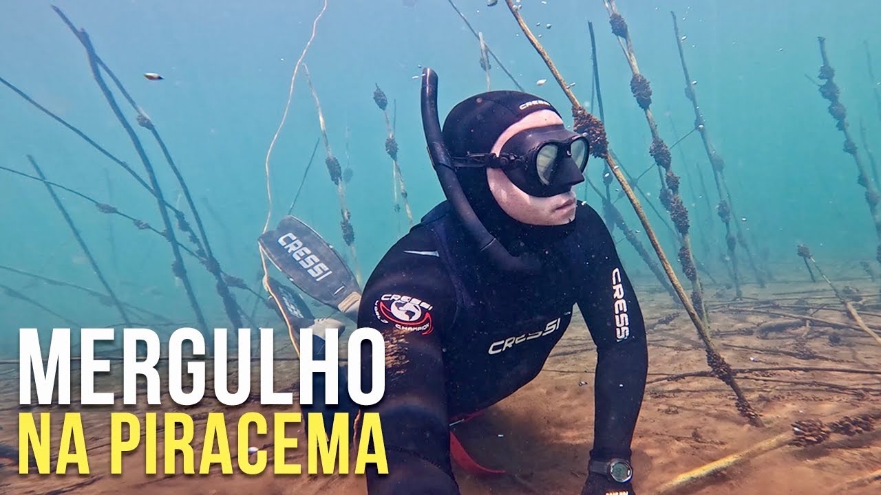 MERGULHO APRECIATIVO NA PIRACEMA - Pesca Sub - SubTv Spearfishing
