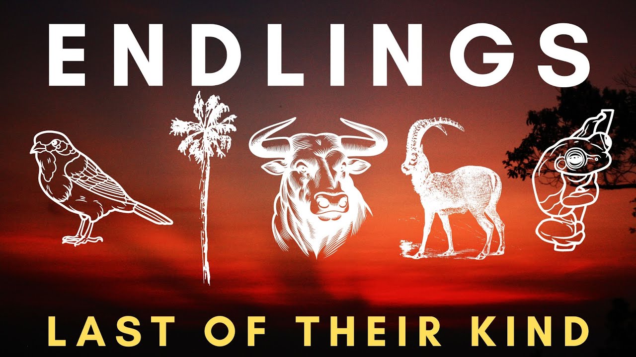 ENDLINGS — Последний перед вымиранием