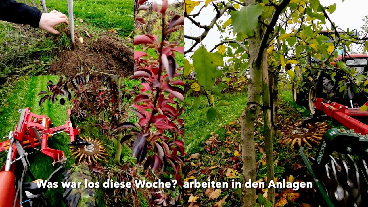 Obstbau FarmVlog#57 Weiter gehts in den Anlagen, Baumstreifen hacken