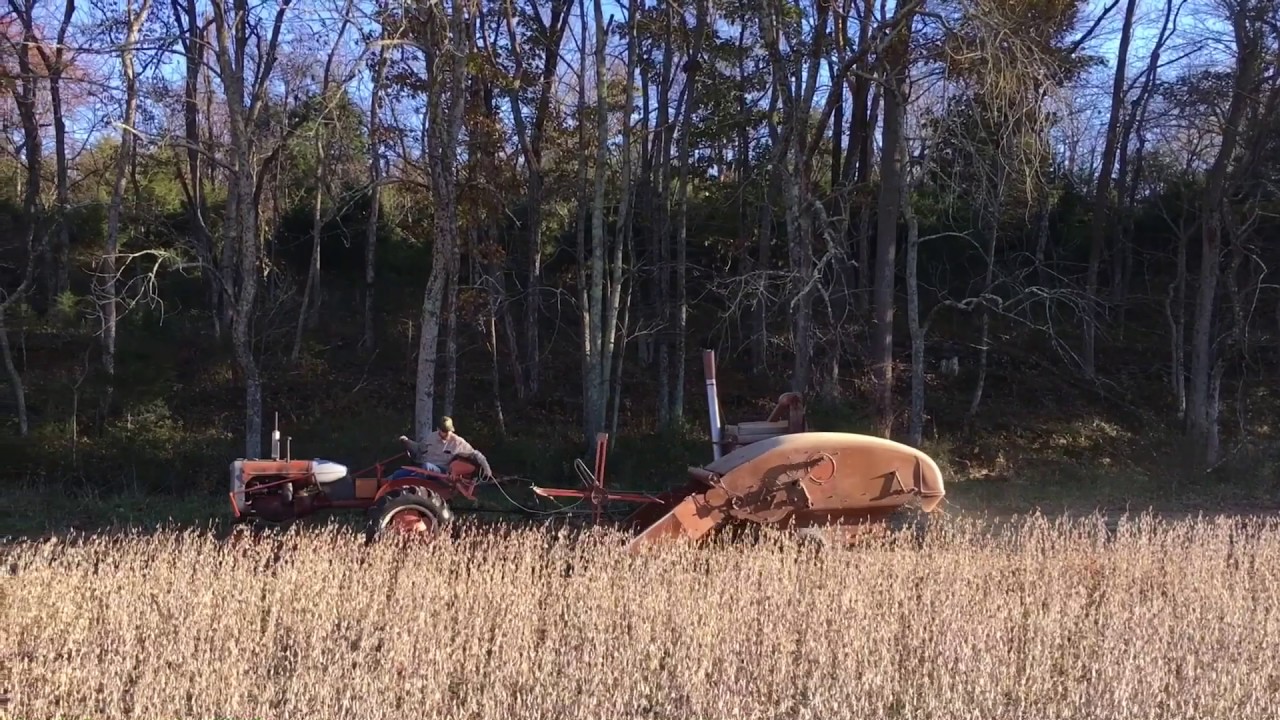 Allis-Chalmers All-Crop 40 Soybeans