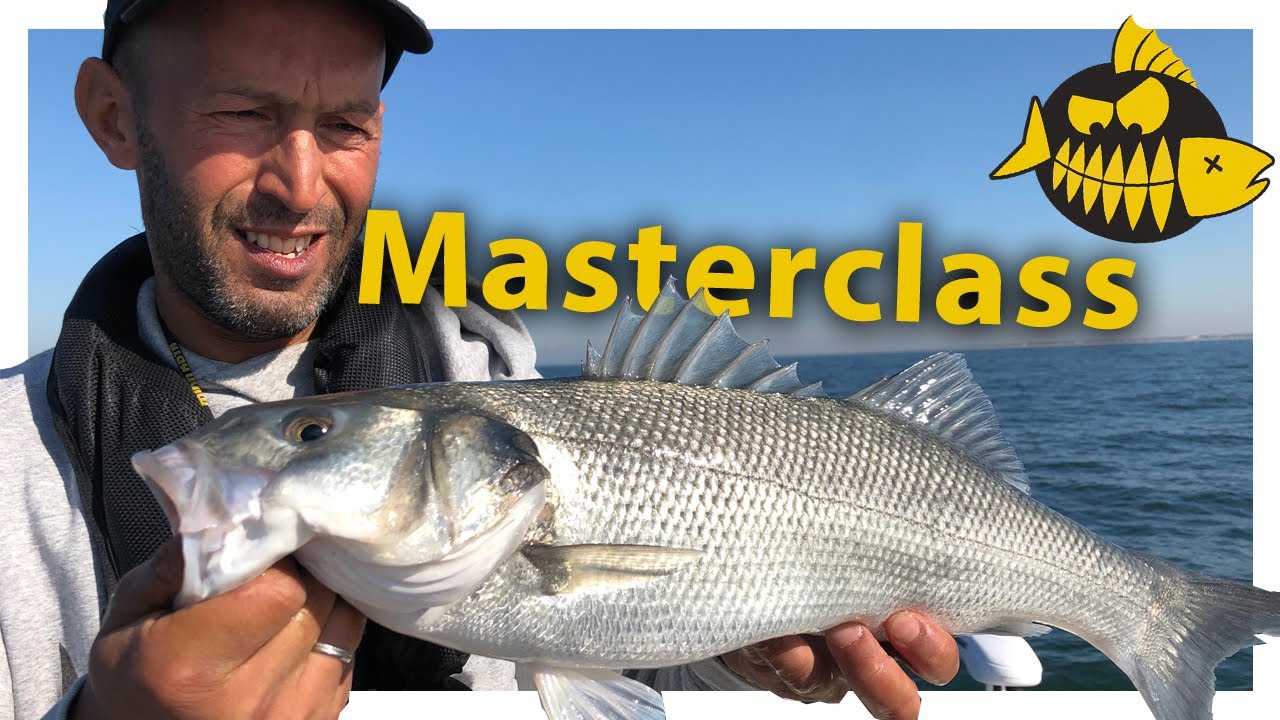 Zeebaars les van Mourat Akkouh - Masterclass in IJmuiden