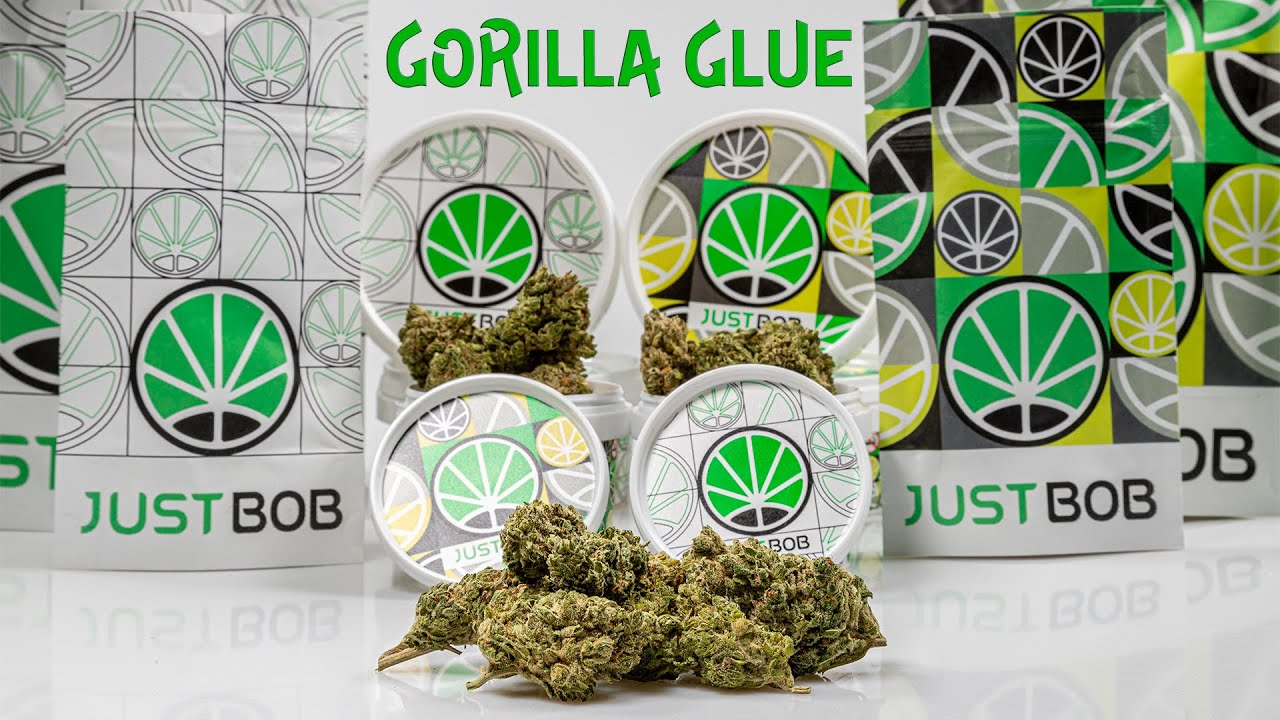 Gorilla Glue CBD - Cannabis CBD - JustBob FRA 2022