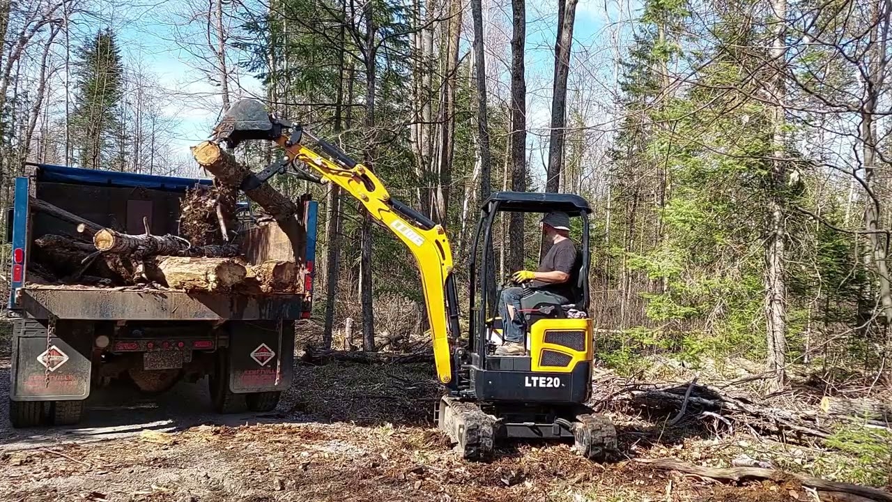 2 ton Chinese Excavator Fallen Tree Cleanup