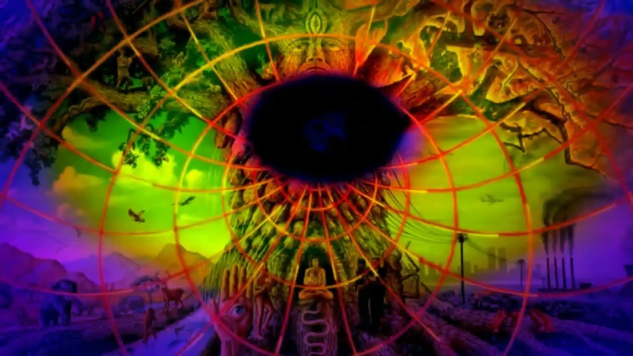 Ozric Tentacles Live 1991 - 2012