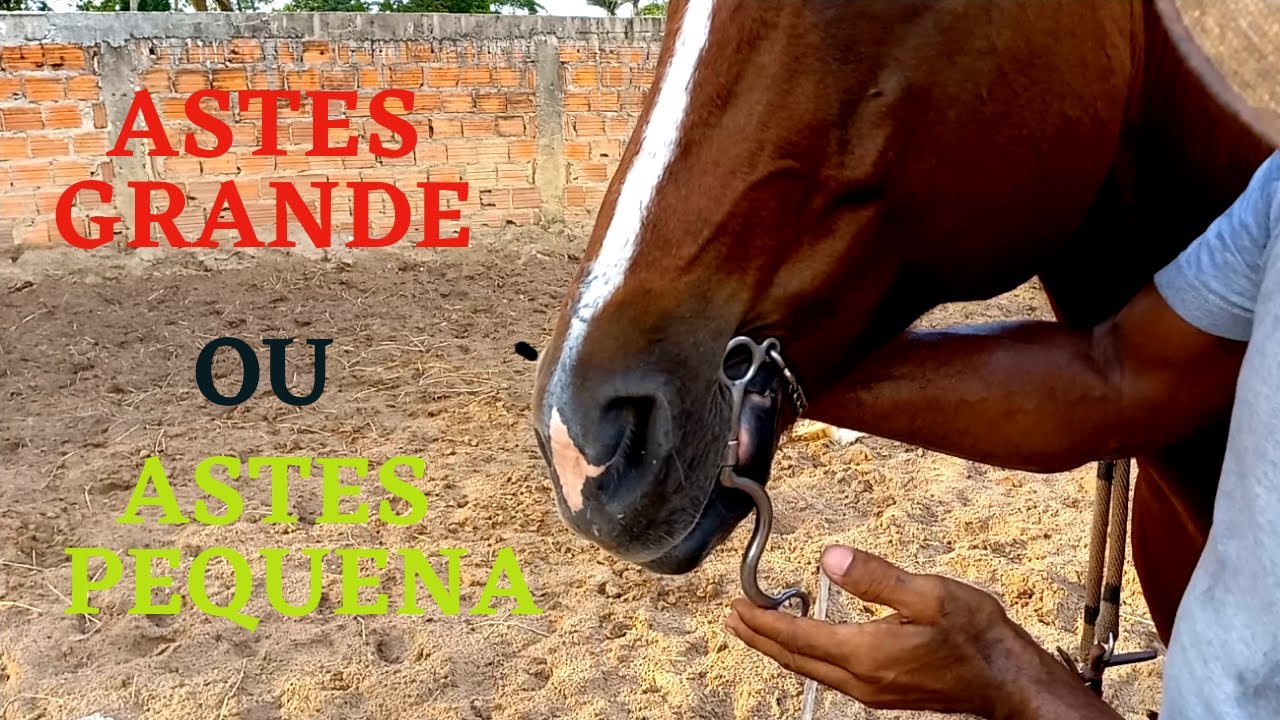 A DIFERENÇA ENTRE FREIO DE ASTES PEQUENA E ASTES GRANDES