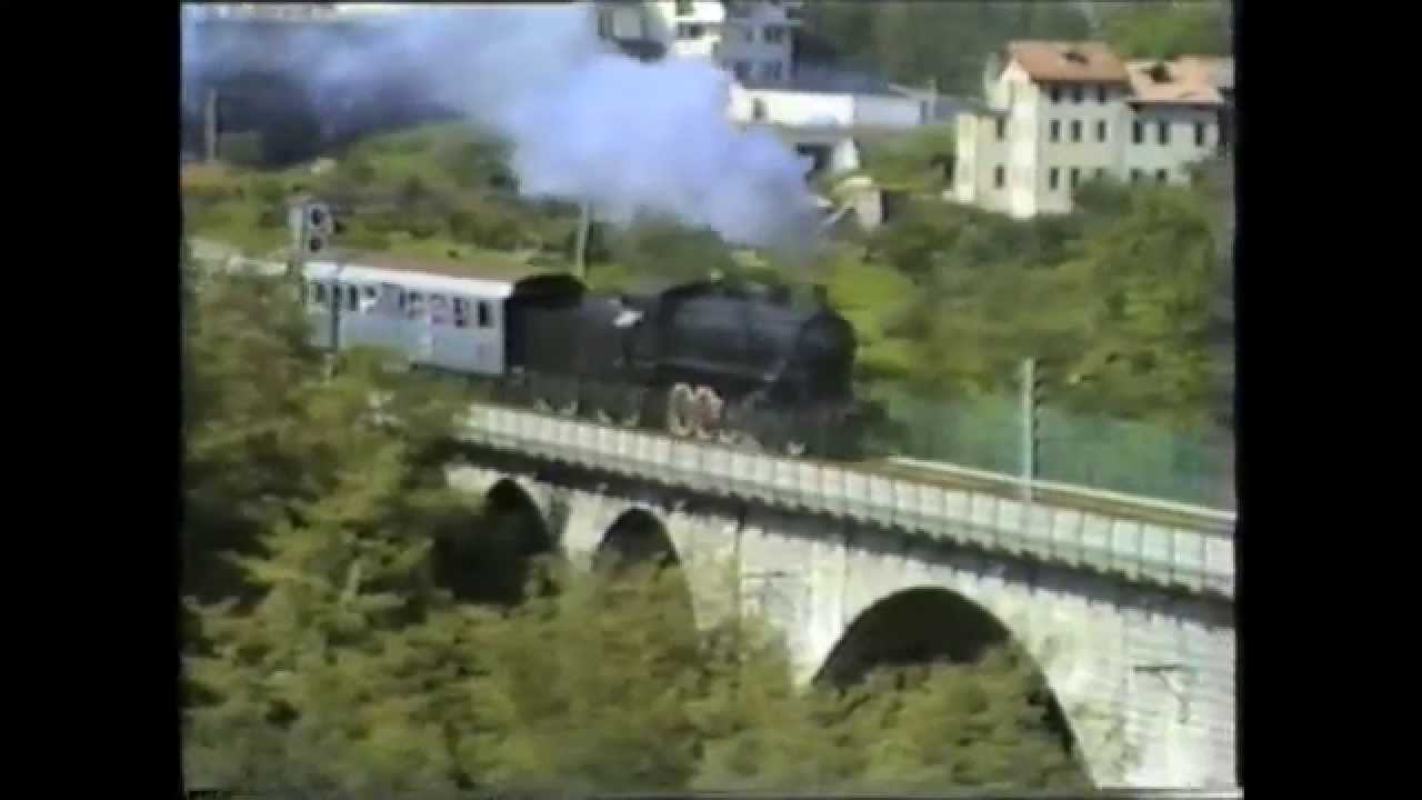 Treno a vapore Treviso-Calalzo del 1993