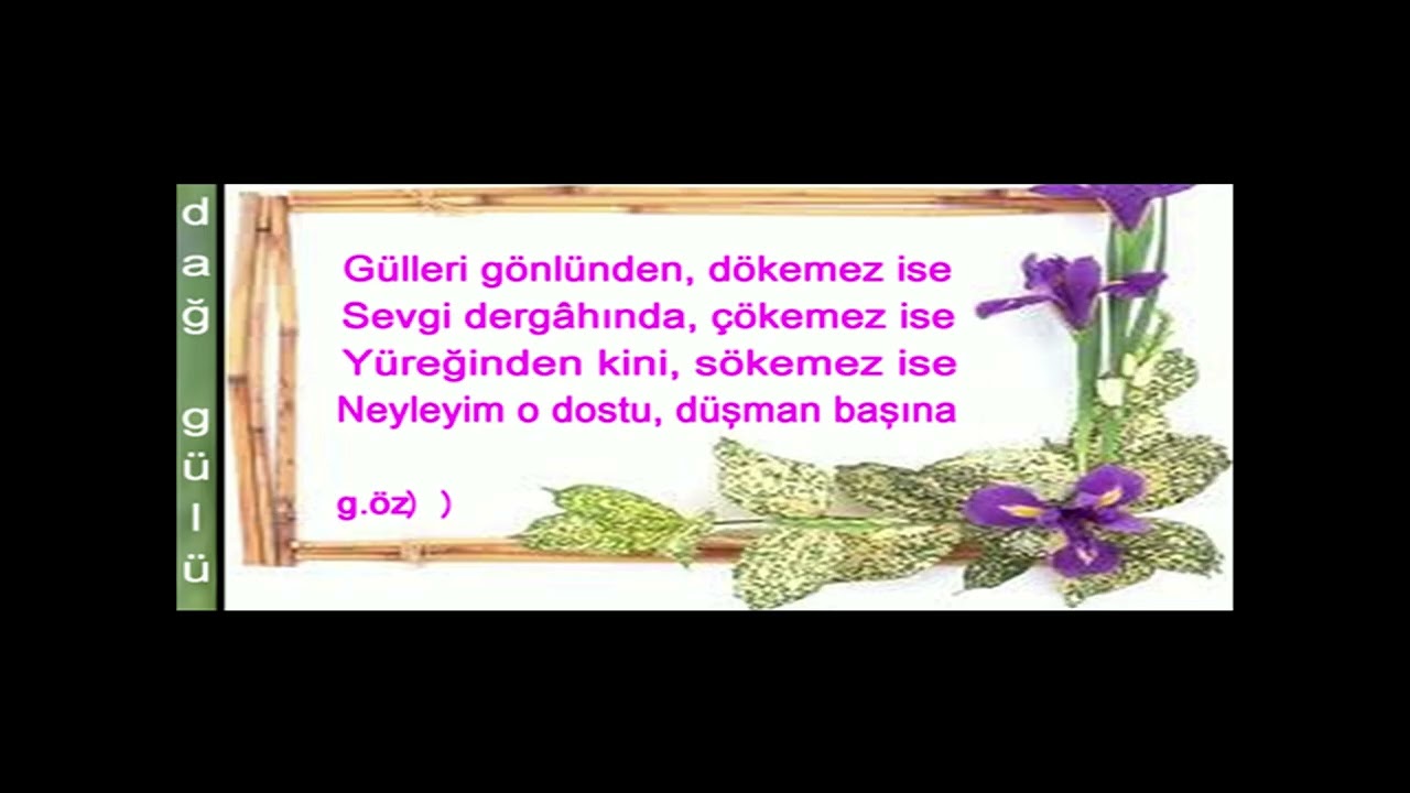 DAĞ GÜLÜ ŞİİR