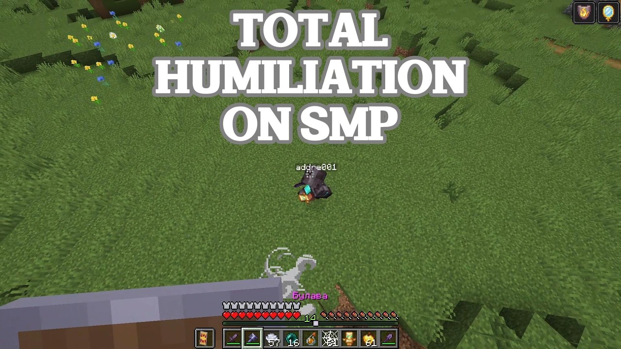 Total humiliation on SMP