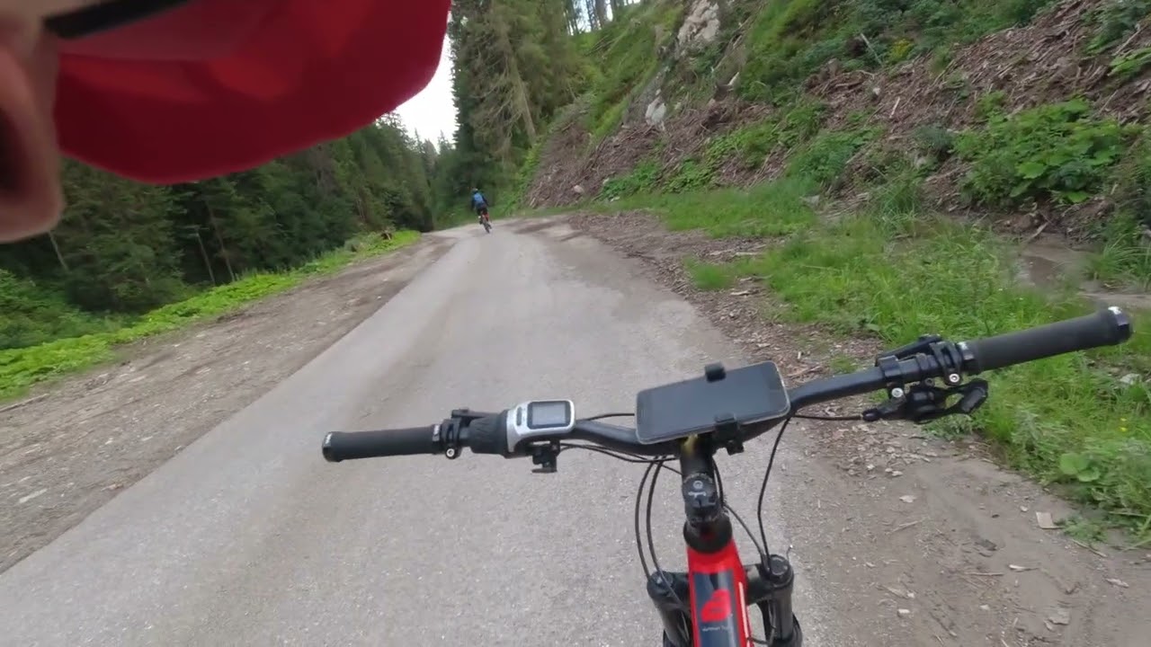 Gita in eMTB da Danta di Cadore a Malga Silvella