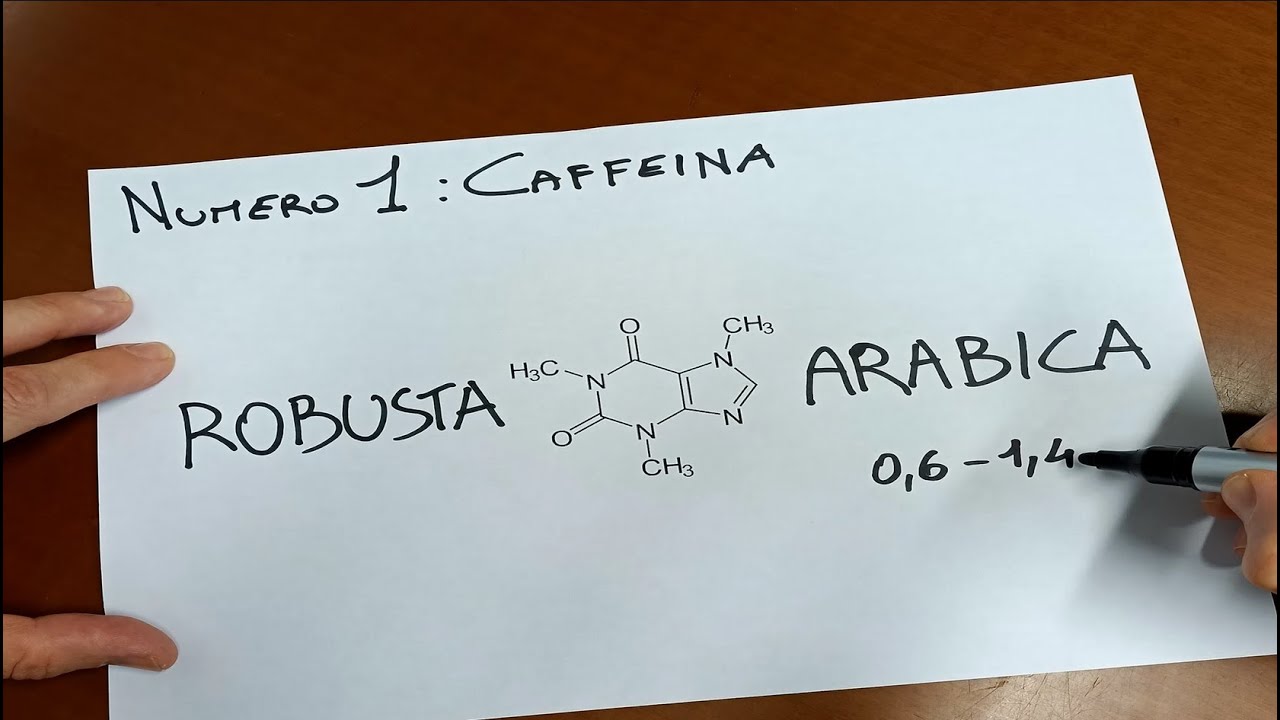 Le 3 differenze tra arabica e robusta che tutti i baristi, ma non solo, dovrebbero conoscere
