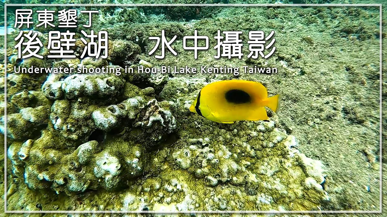 【旅遊紀事】後壁湖 屏東墾丁 水中攝影 Underwater shooting in Hou-Bi Lake Kenting Taiwan