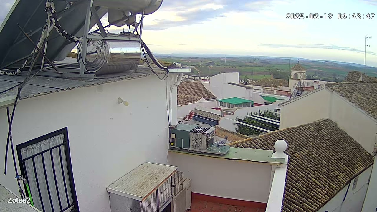 captura del zipi