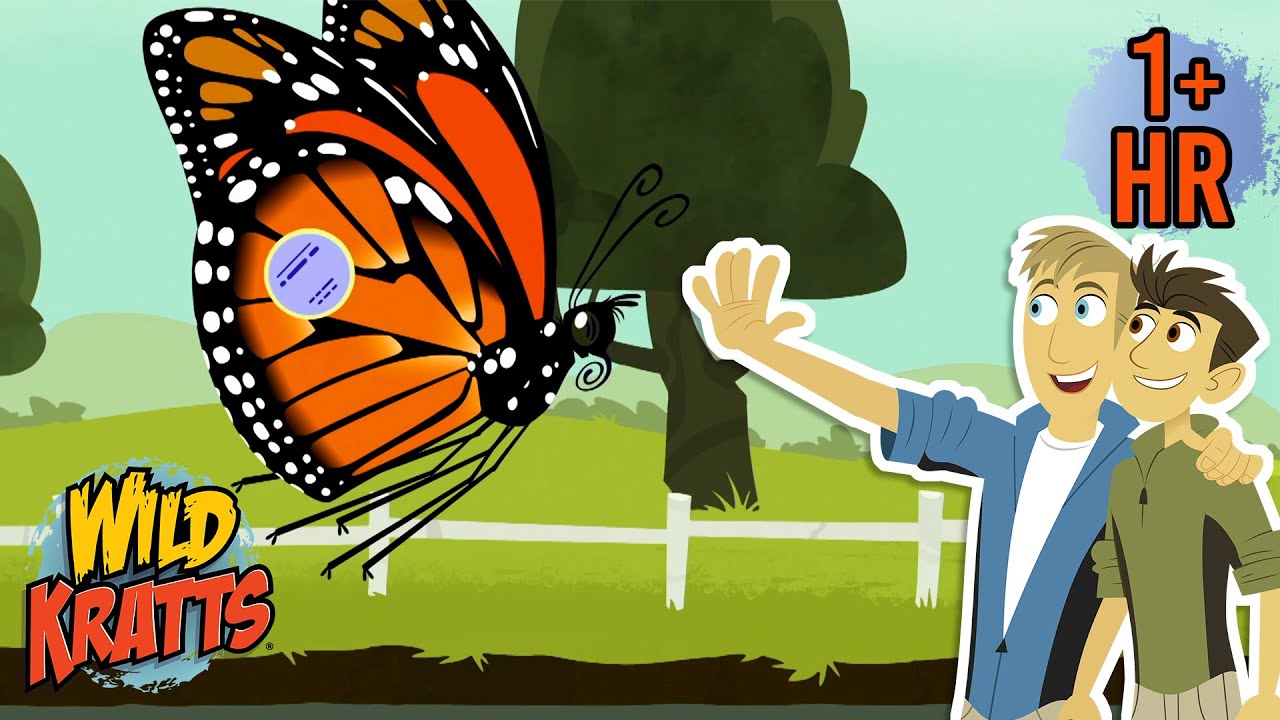 Western Monarch Butterfly Day (Feb 5th) | Monarch's Amazing Journey | Full Episodes | Wild Kratts