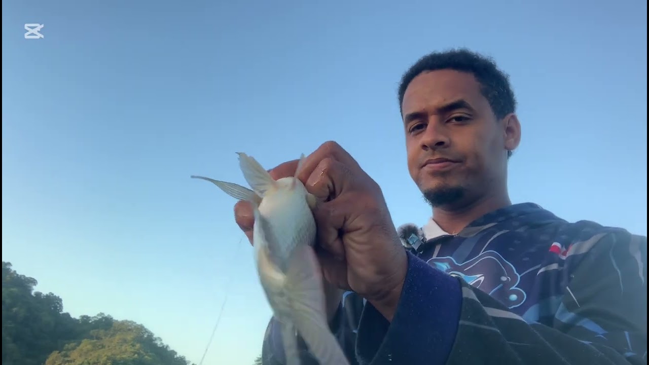 Pesca de tilapias en la presa de bao 27 de enero 2026 una exelente pesca #fishing #aventura 