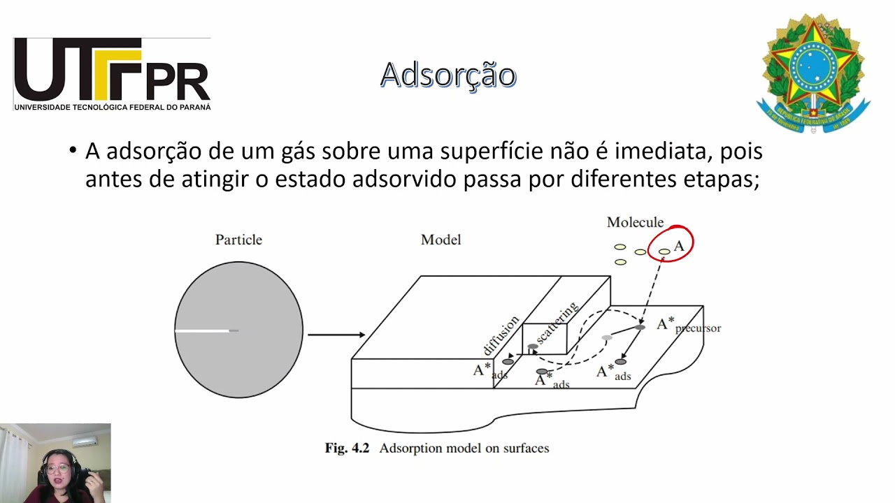 Parte I- Adsorção química e física