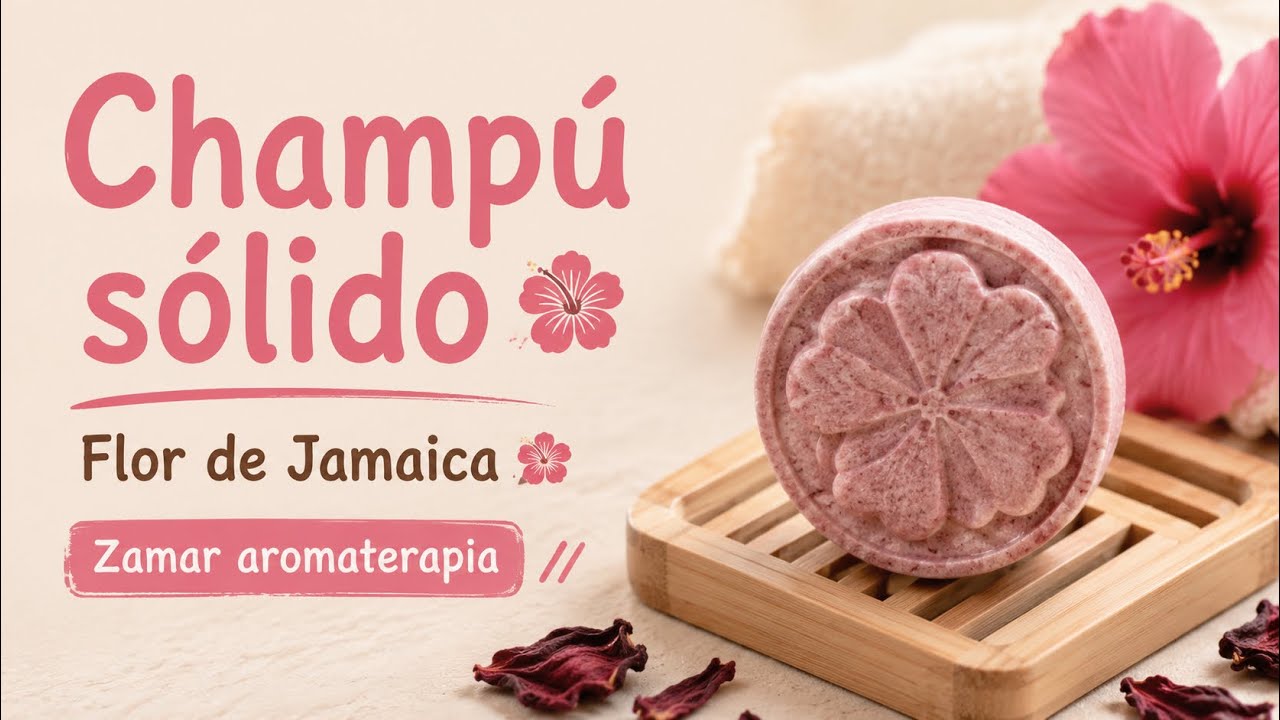 CHAMPÚ SÓLIDO de HIBISCO 🌺 SIN SULFATOS #metodocurly
