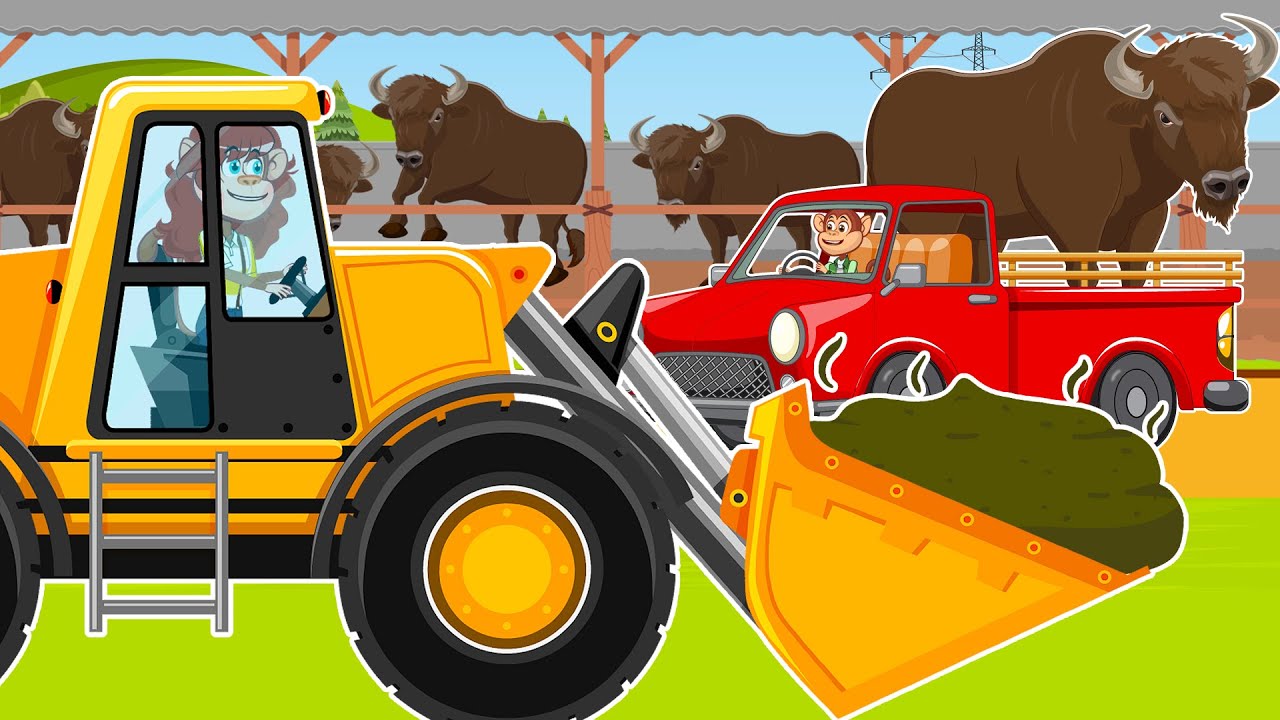 Monkeys Working On Farm: Driving Tractor to Harvest Bison Cow Manure For Fertilizer | Vehicles Farm