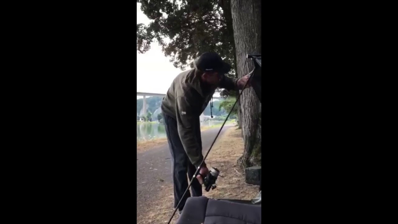 Vissen Op De Maas