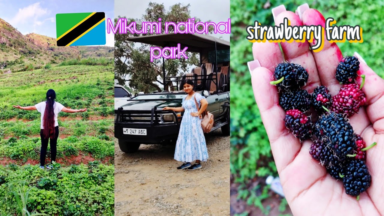 Daressalam to Morogoro 🇹🇿|Morogoro vlog|Mikumi national park |