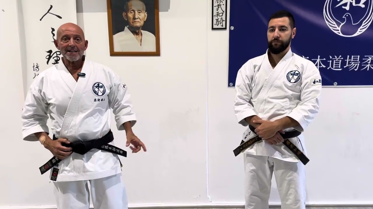 Kihon kumite iro iro