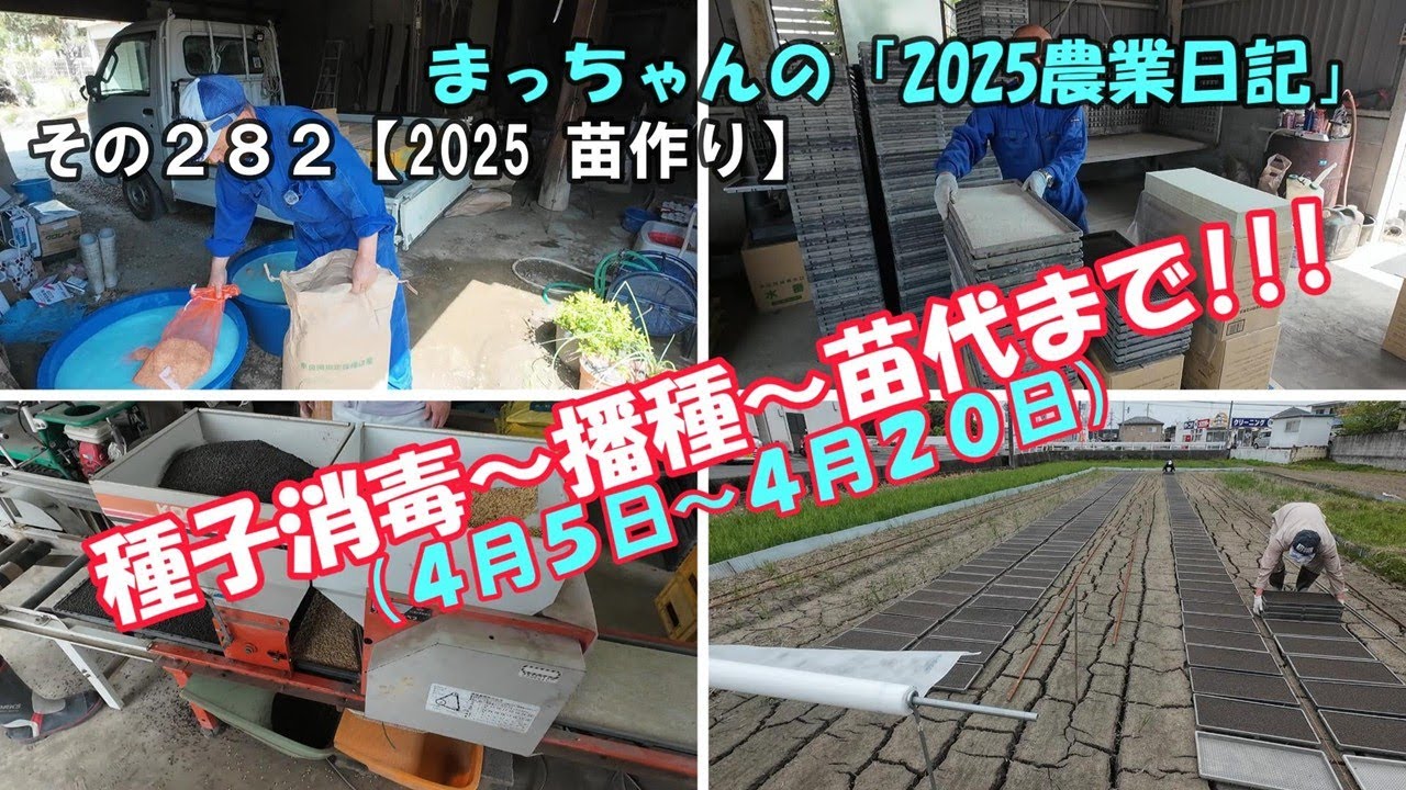 その２８２【2025 苗作り】種子消毒～播種～苗代まで!!!（４月５日～４月２０日）