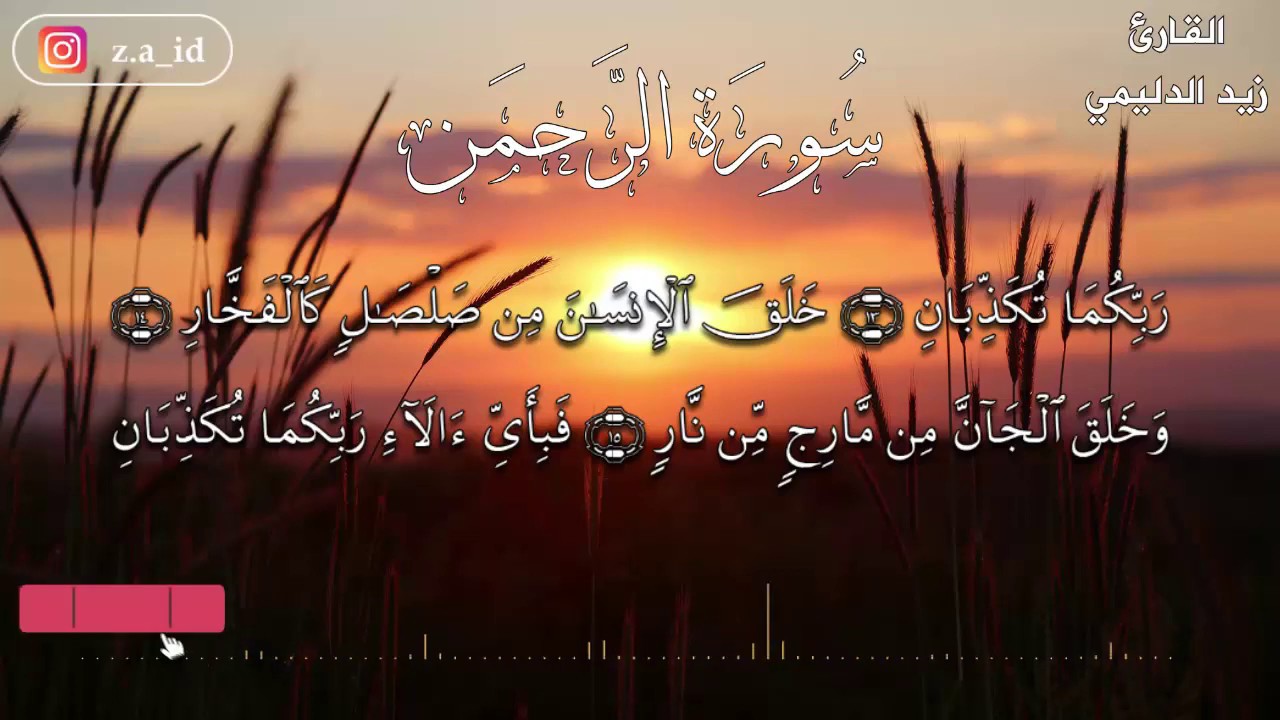 هل جزاء الإحسان إلا الإحسان... سورة الرحمن كاملة بصوت عذب للقارئ زيد الدليمي