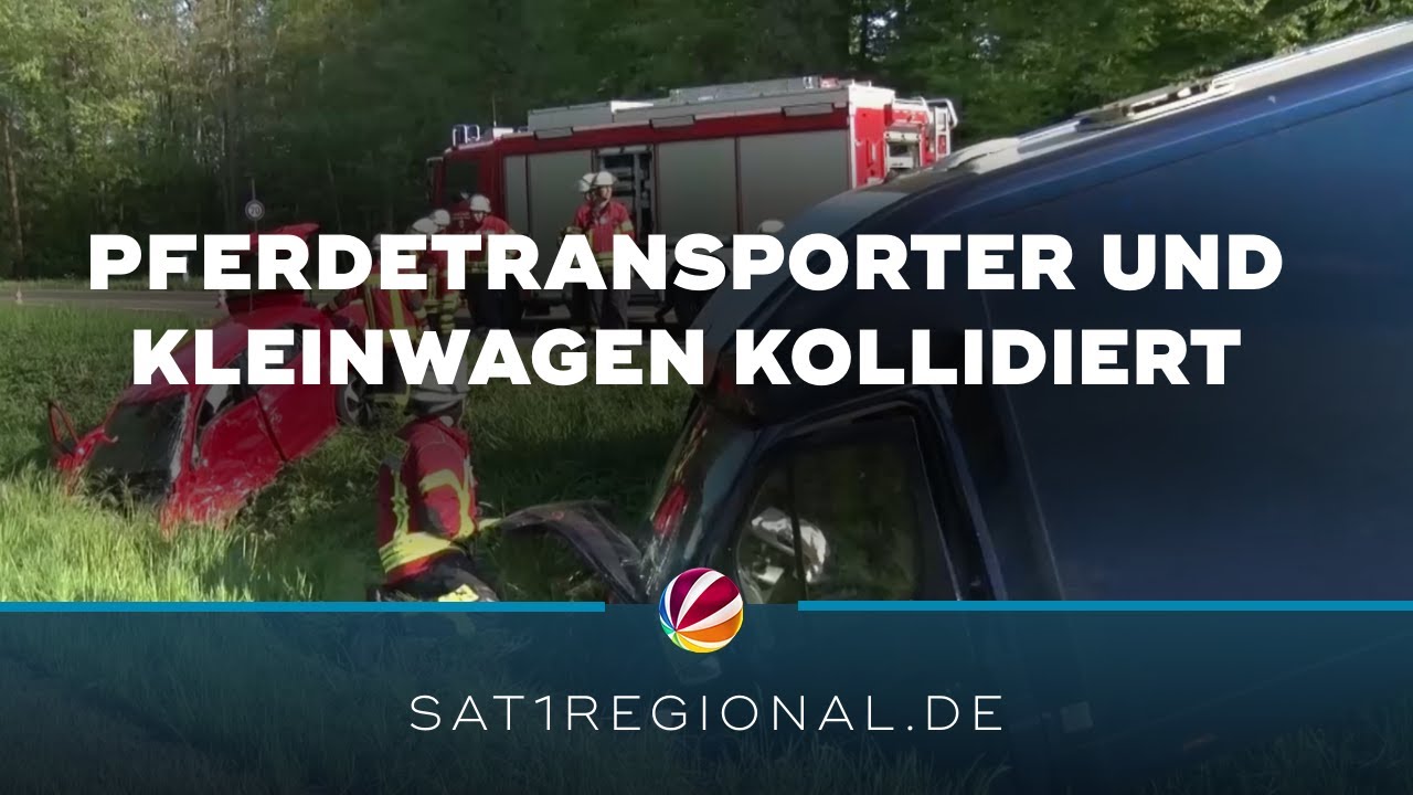 Pferdetransporter und Kleinwagen kollidieren auf Landstraße in Quakenbrück