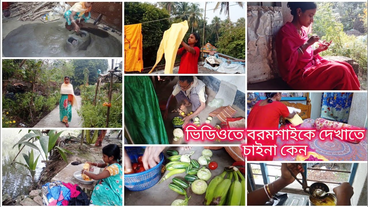 স্বামীর অল্প ইনকামের উপর যদি একটু বুদ্ধি করে সপ্তাহের বাজারটা করি তাহলে মাসের শেষে কিছু জমাতে পারি।