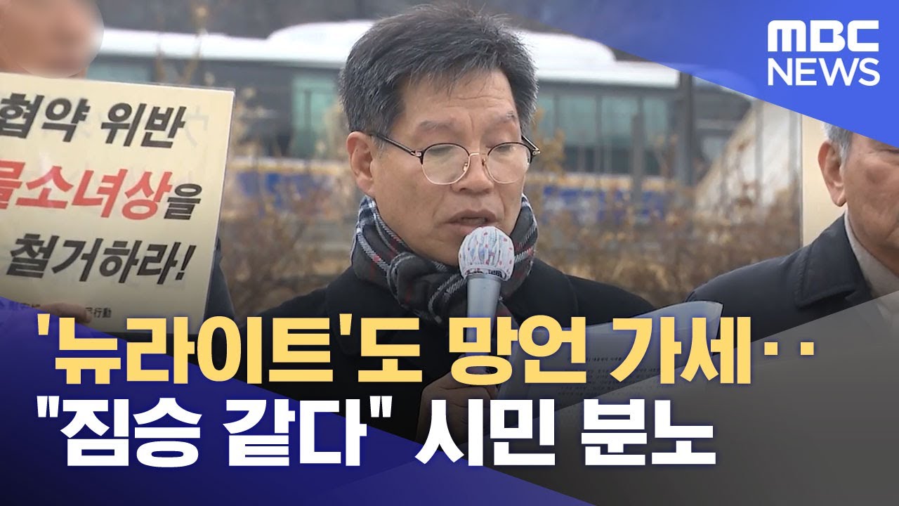 '뉴라이트'도 망언 가세‥