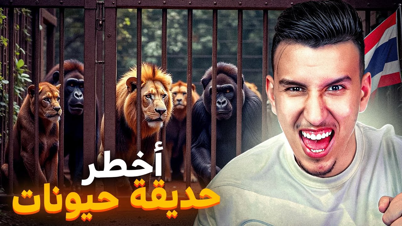 #IRL3 : أغرب حديقة حيوان في تايلاند 🇹🇭