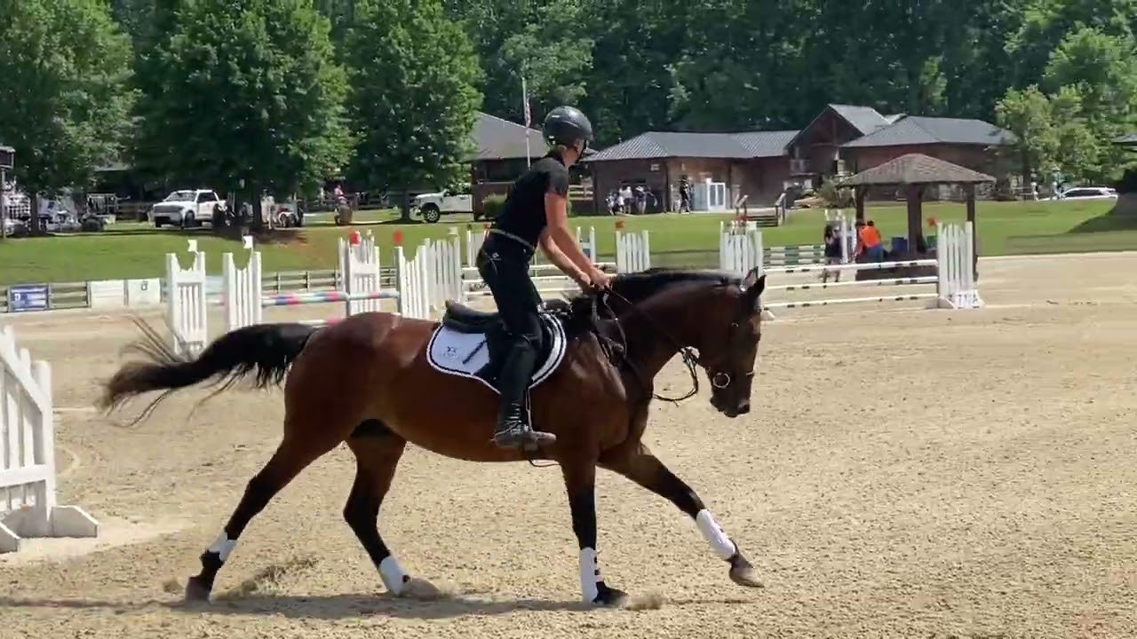 Zenith Vayda | Novice SJ Round | Chatt Hills | June 2022