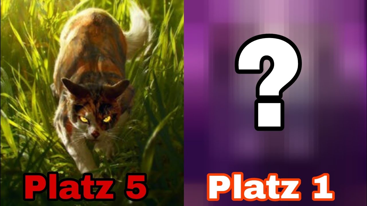 Die SCHLECHTESTEN Warrior-Cats CHARAKTERE! | Meine Hasscharaktere aus WaCa | Ranking