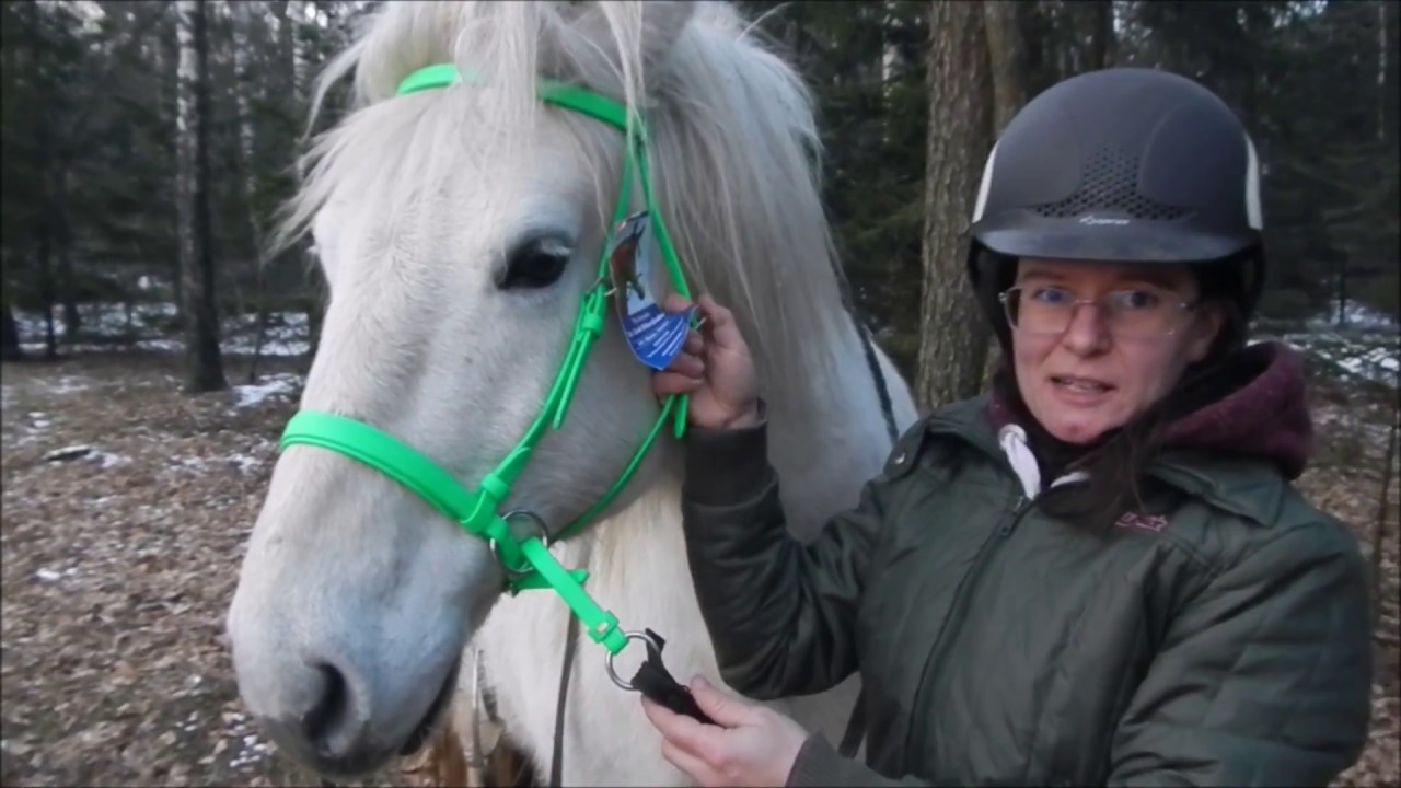 Dopasowanie ogłowia Dr Cook Bitless Bridle od zlotykon.pl