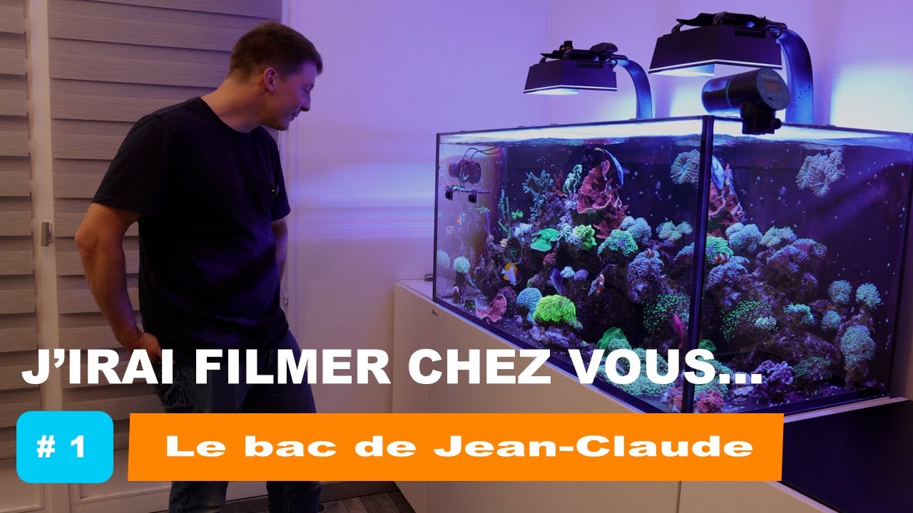 #1 J’irai filmer chez vous – Visite d’un bac récifal (1h) – PapiReef