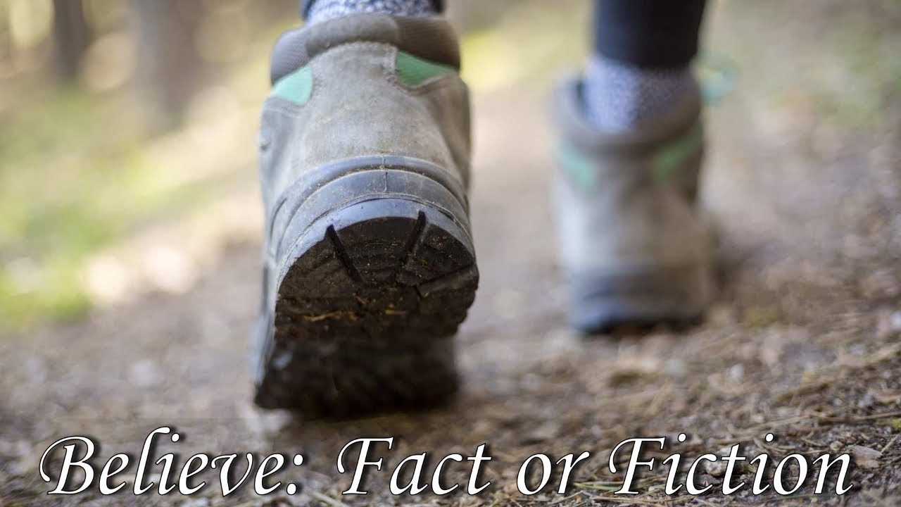 Believe: Fact or Fiction - January 11, 2026